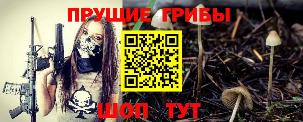 Галлюциногенные грибы Cubensis Таганрог