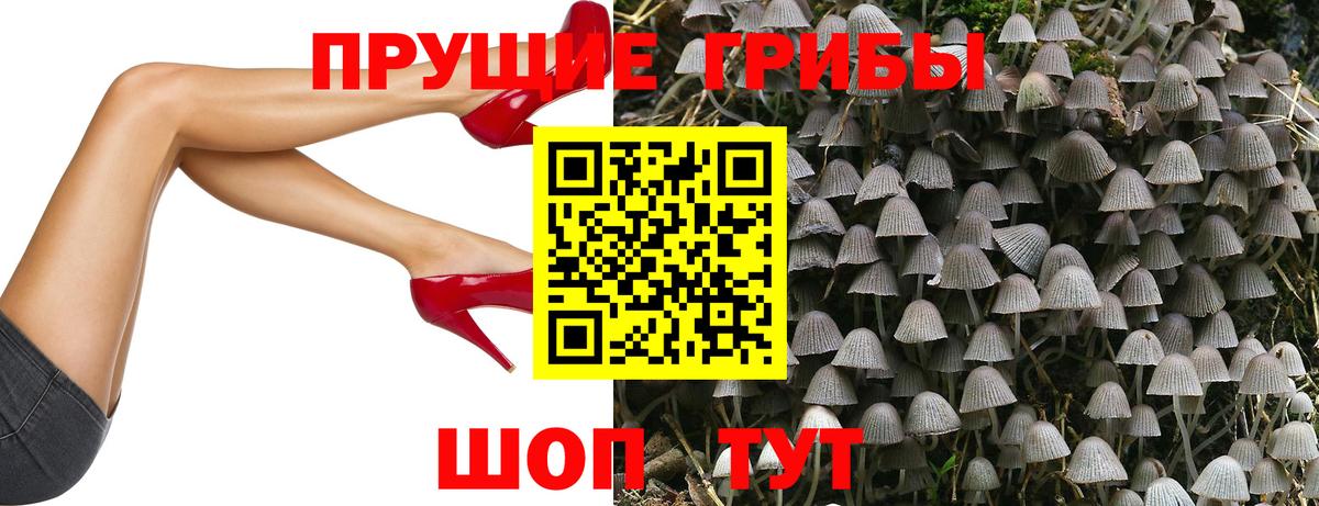 что такое наркотик  Вход с VPN  Таганрог  Псилоцибиновые грибы ЛСД 
